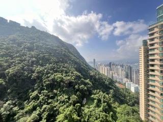 中半山 - 地利根德阁2座 02