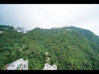 中半山 - 地利根德阁3座 04