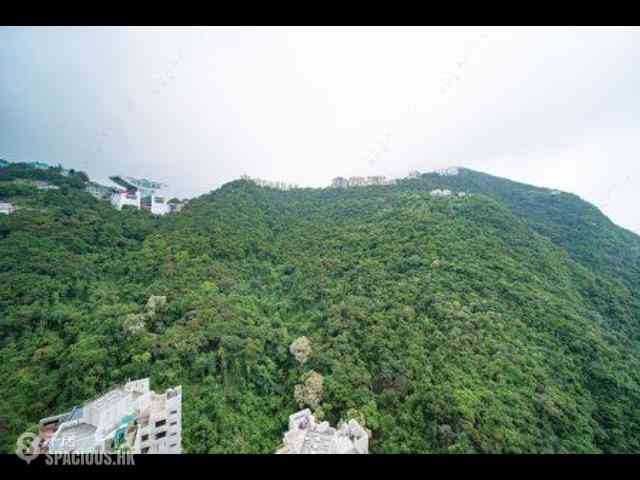 中半山 - 地利根德阁3座 04