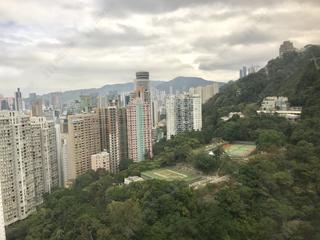 東半山 - 御花園 10