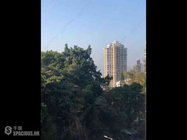 Tai Hang - Swiss Towers 01