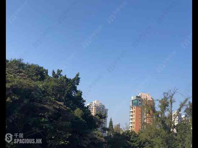 Tai Hang - Swiss Towers 03