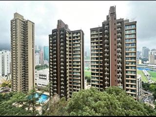 跑马地 - 乐活台 03