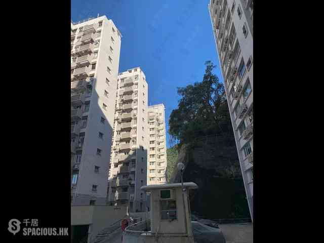 薄扶林 - 裕仁大廈D座 15