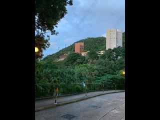 Pok Fu Lam - Y.Y. Mansions Block D 16