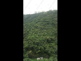 中半山 - 晓峰阁3座 04