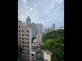 堅尼地城 - 桃李園 04
