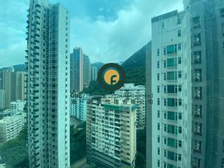 中半山 - 罗便臣道31号 13
