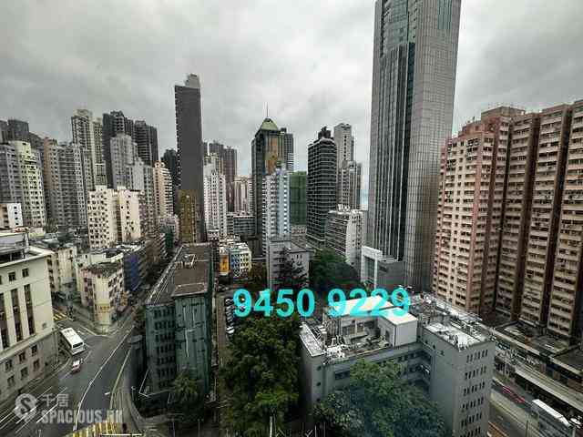 Sai Ying Pun - One・Artlane 07
