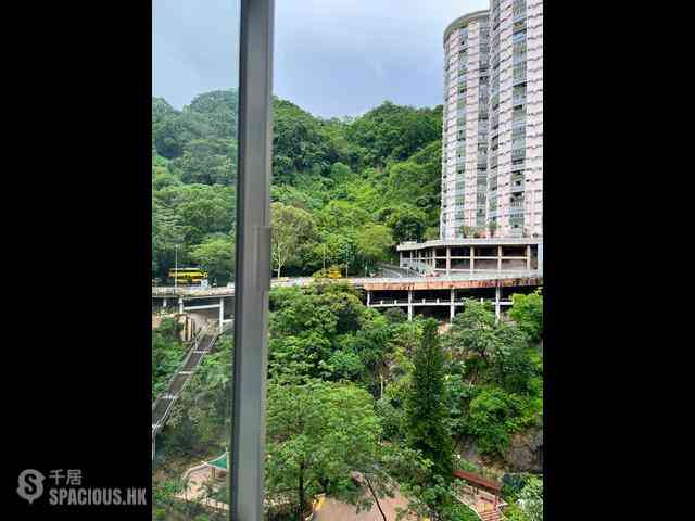 Tai Hang - Lily Court 04