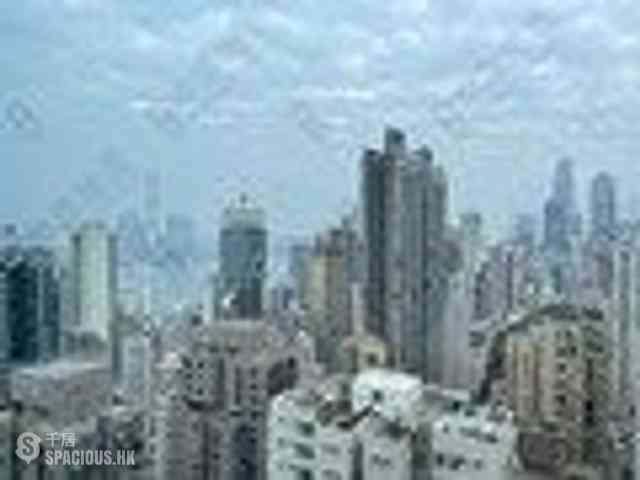 Sai Ying Pun - 15 Western Street 08