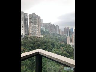 北角 - 柏蔚山 02