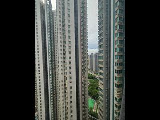 大角咀 - 港湾豪庭 06