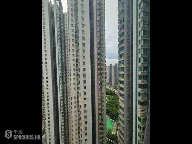 大角咀 - 港灣豪庭 06