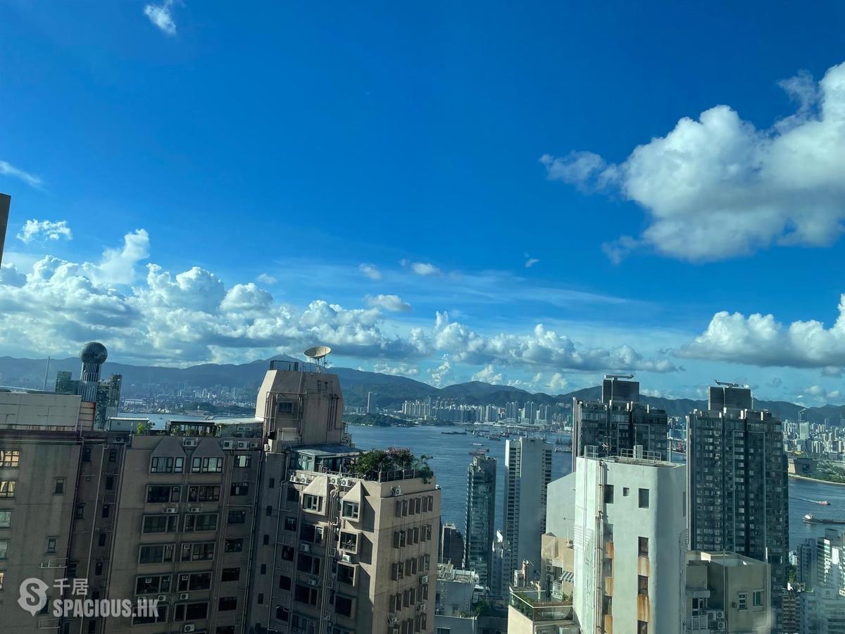 西半山 - 俊杰花园 01