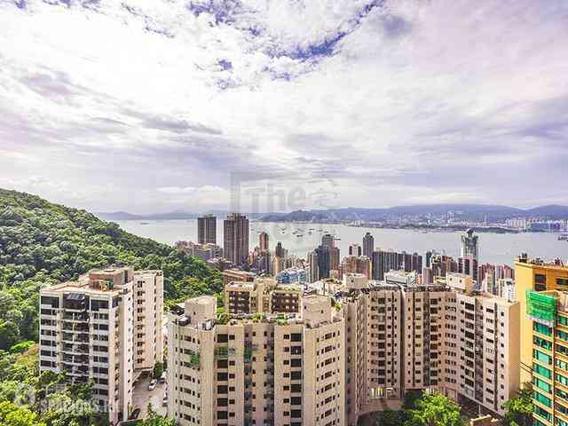 西半山 - 碧苑大厦 02