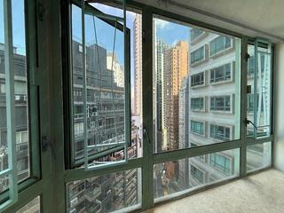 中半山 - 高云台 15