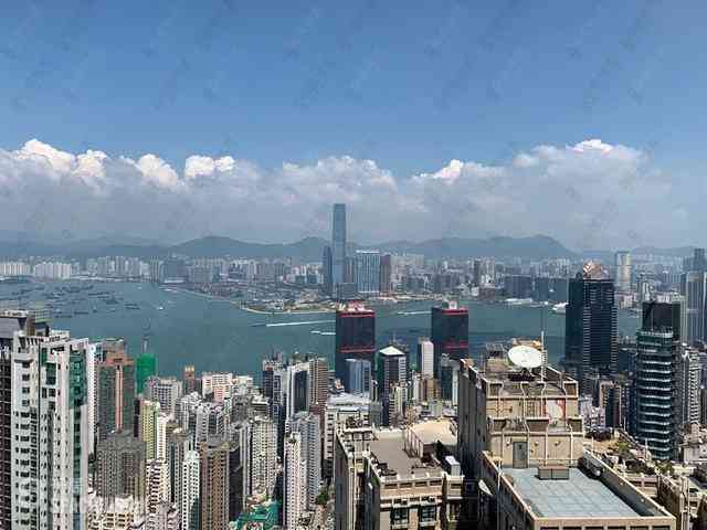 西半山 - 天匯 11
