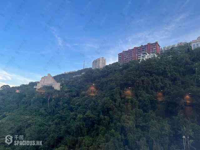 中半山 - 世纪大厦 13