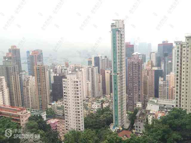 Mid Levels West - Hong Kong Garden 11