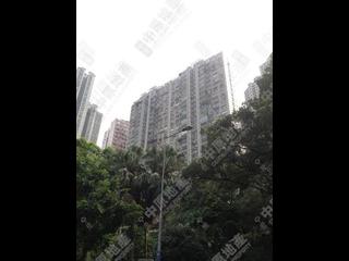 西半山 - 香港花園 12