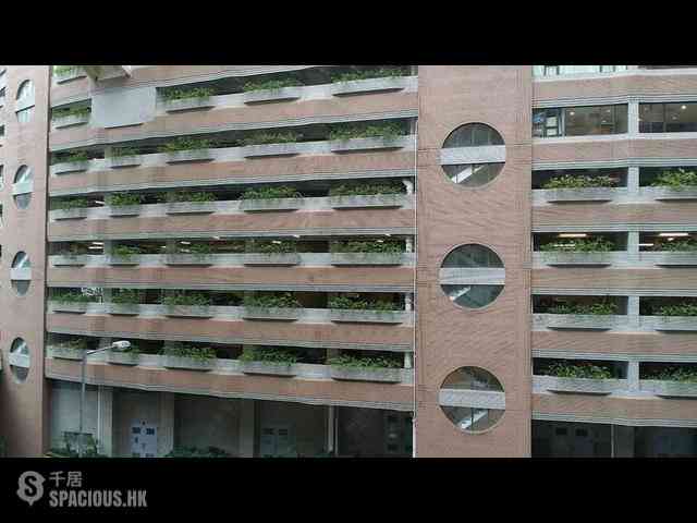 Wan Chai - Phoenix Court Block 5 15