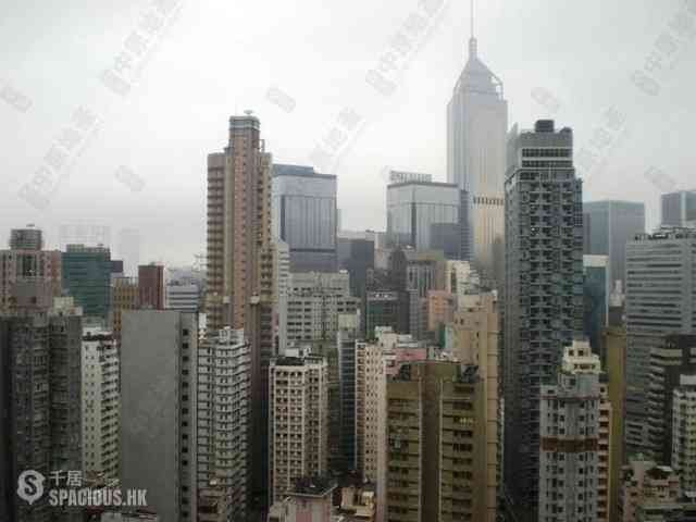 東半山 - 金樱阁 20