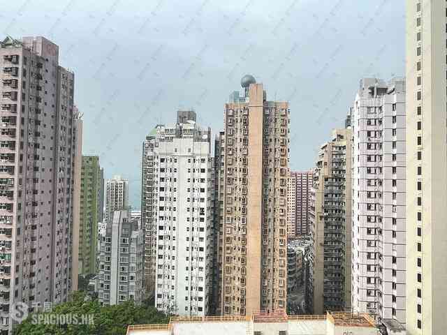 Sai Ying Pun - The Summa 06
