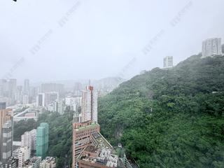 東半山 - 竹林苑 02