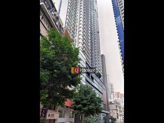 苏豪 - 聚贤居 11