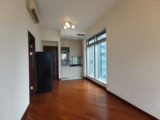 Wan Chai - The Avenue Phase 2 Block 3 03