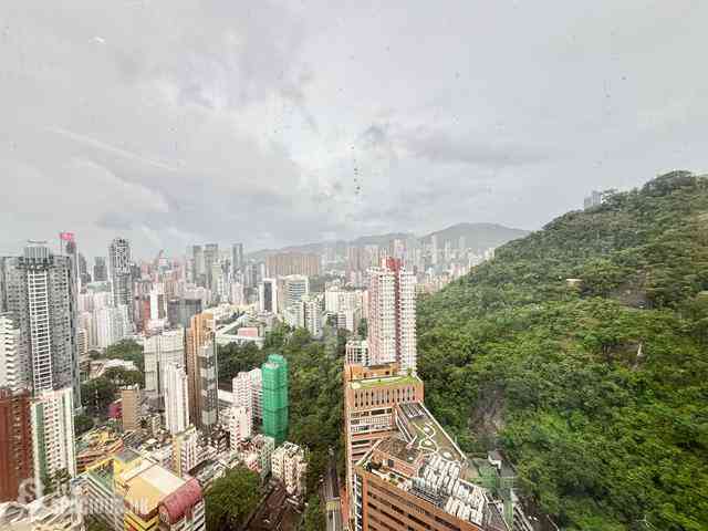 東半山 - 竹林苑 16