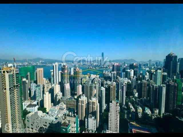 西半山 - 罗便臣道80号 11