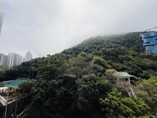 西半山 - 聯邦花園 03