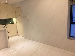 Mid Levels Central - The Grand Panorama Block 2 08