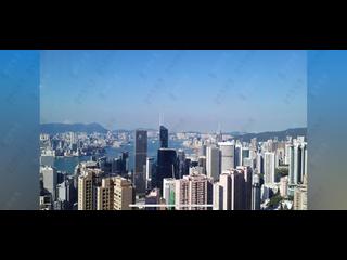 中半山 - 地利根德阁3座 11