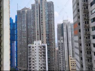 中半山 - 敦皓 02