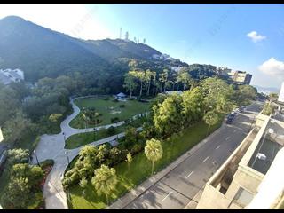 山顶 - The Mount Austin 03