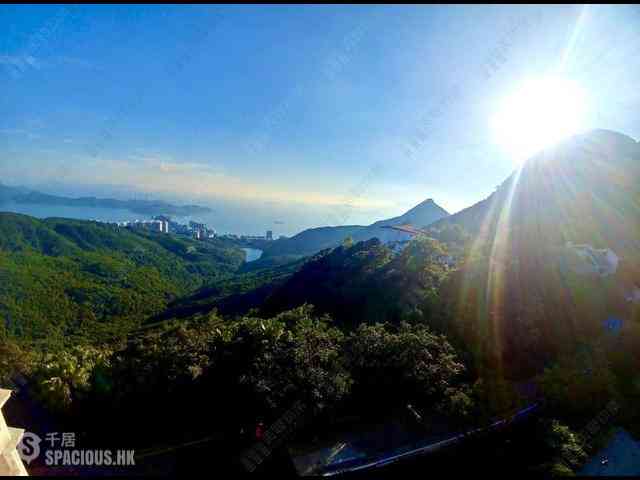 The Peak - The Mount Austin 06