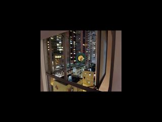 西營盤 - 高雅閣 14