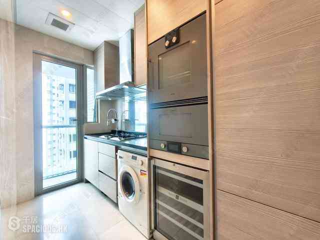 Wan Chai - The Avenue Phase 2 Block 1 03