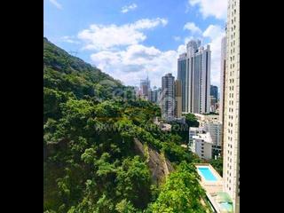 東半山 - 竹林苑 06