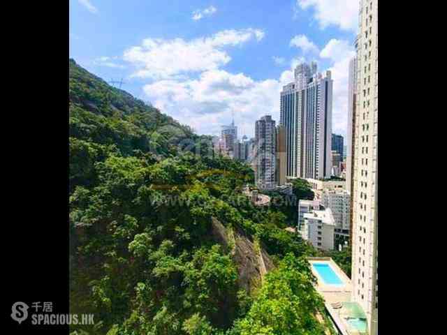 東半山 - 竹林苑 06