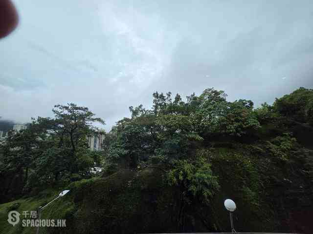 Tai Hang - Swiss Towers Block 2 (Block CD) 02