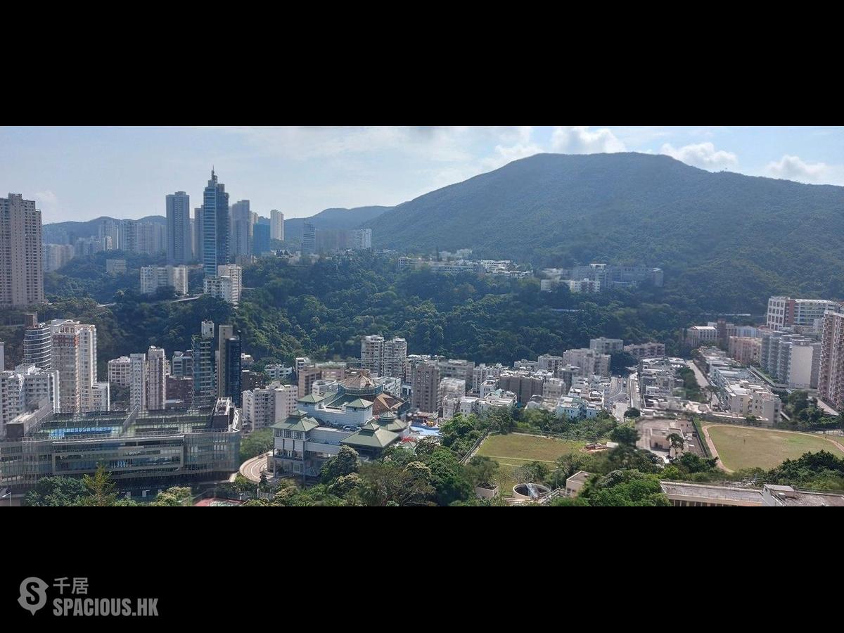 司徒拔道 - 碧蕙园B座 01