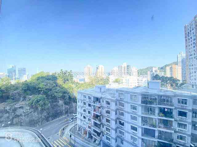 大坑 - 瑞士花園 20