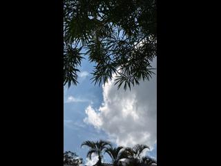 清水湾 - 松涛苑 12