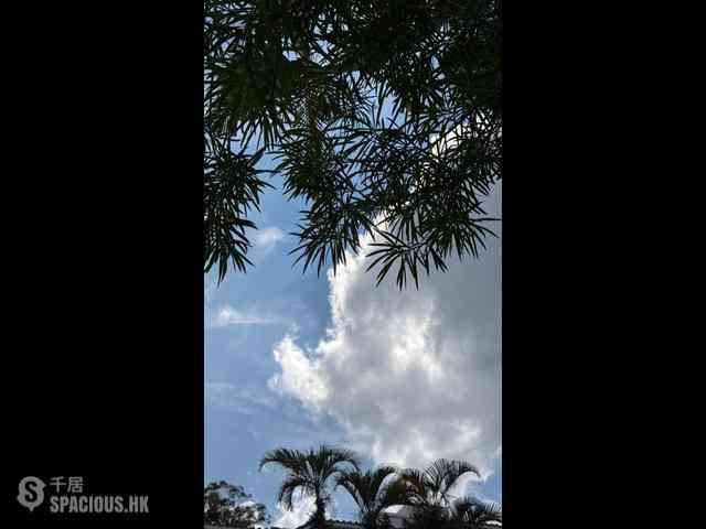 清水灣 - 松濤苑 12