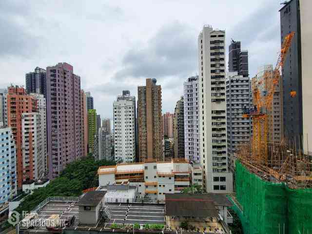 Sai Ying Pun - The Summa 02