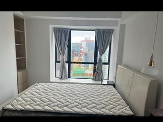 Poho - Rich View Terrace 03